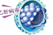 感染乙型肝炎患者多不自知?不可忽视的传染病 感染乙型肝炎患者多不自知?不可忽视的传染病