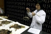 中药企业努力吸引年轻消费者 中药企业努力吸引年轻消费者