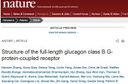 中国科学家2篇Nature!研发2型糖尿病新药有重要突破 中国科学家2篇Nature!研发2型糖尿病新药有重要突破