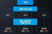医疗健康行业MCN与创作者研究报告 医疗健康行业MCN与创作者研究报告