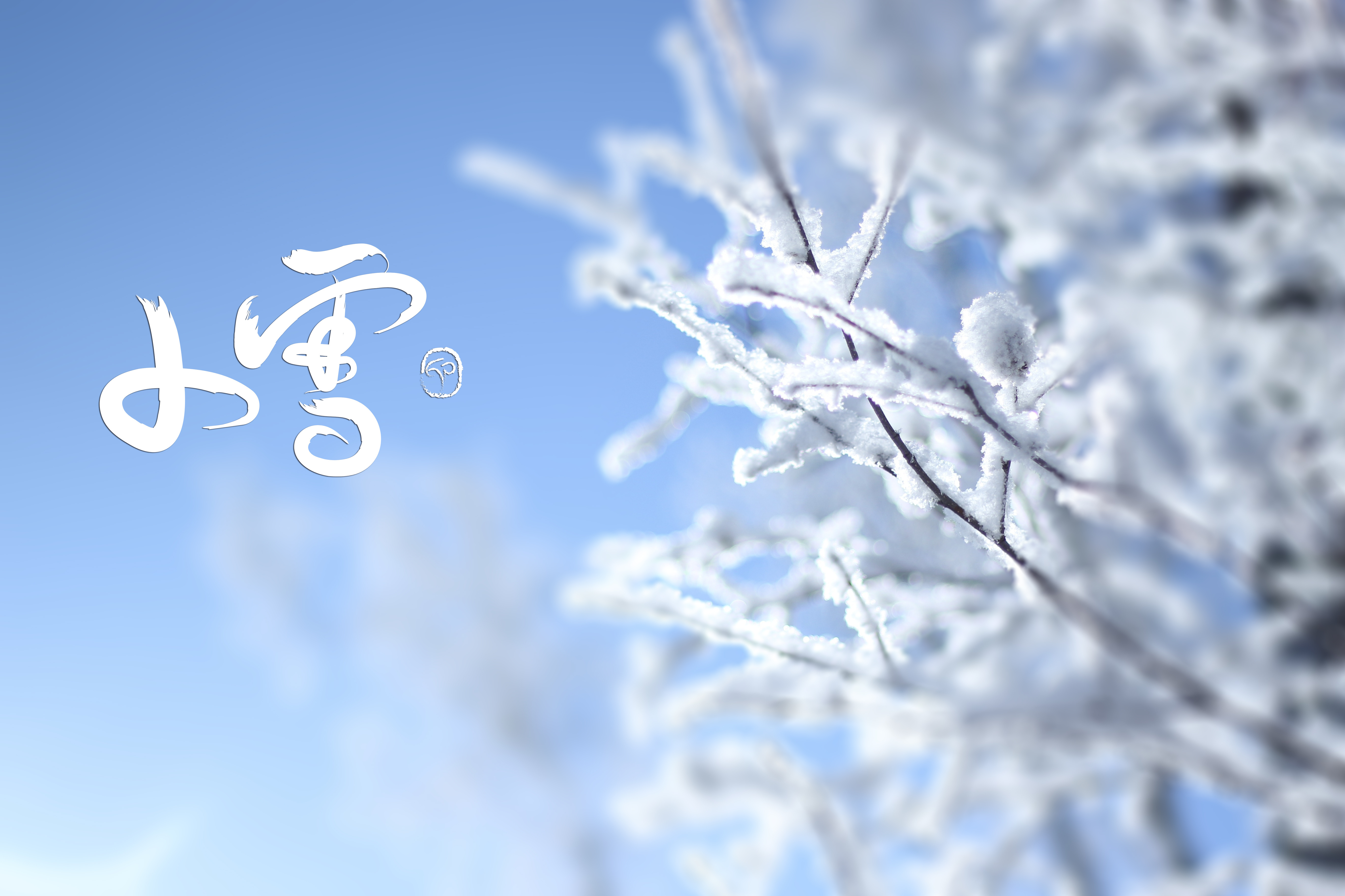 今日，小雪