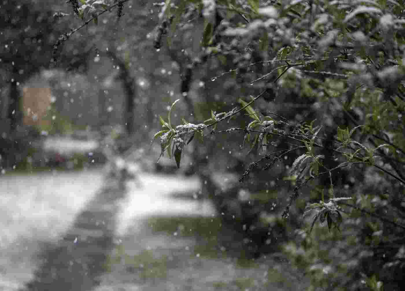雨雪天，安全出行防骨折 | 科普时间