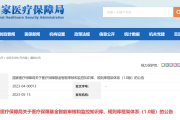 国家医疗保障基金智能审核和监控知识库、规则库框架体系（1.0版）