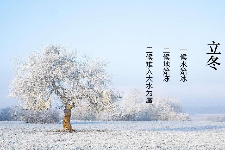 图片1.png