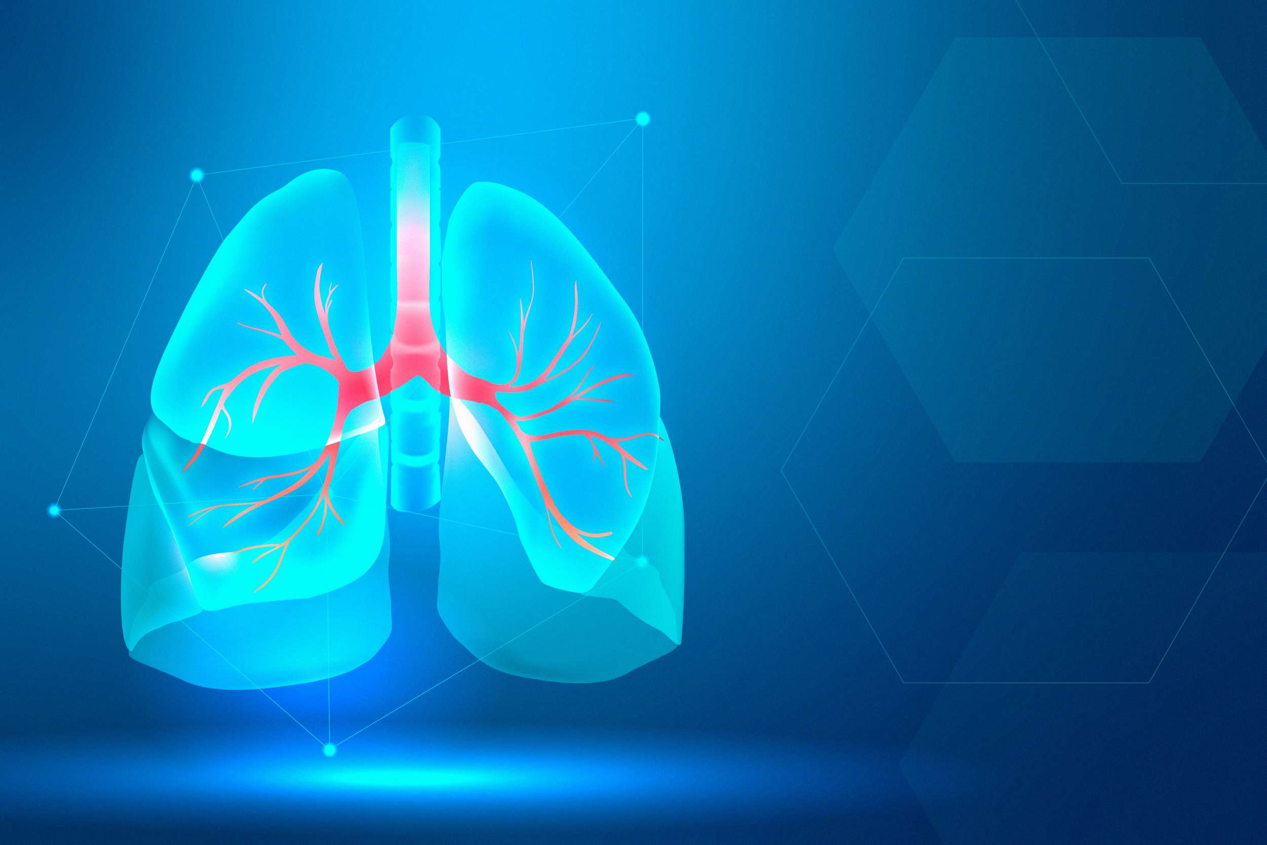 世界肺炎日：“肺”常健康，科学防治