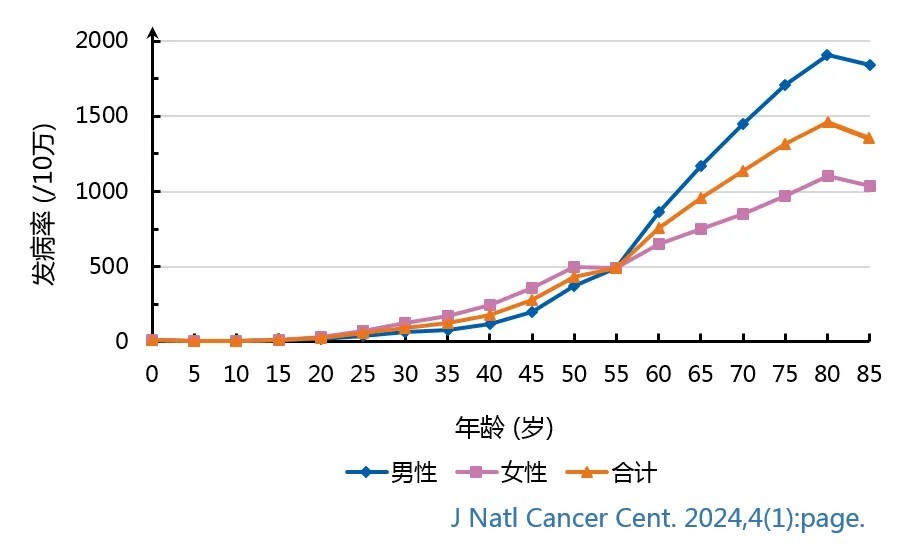 图片6.jpg