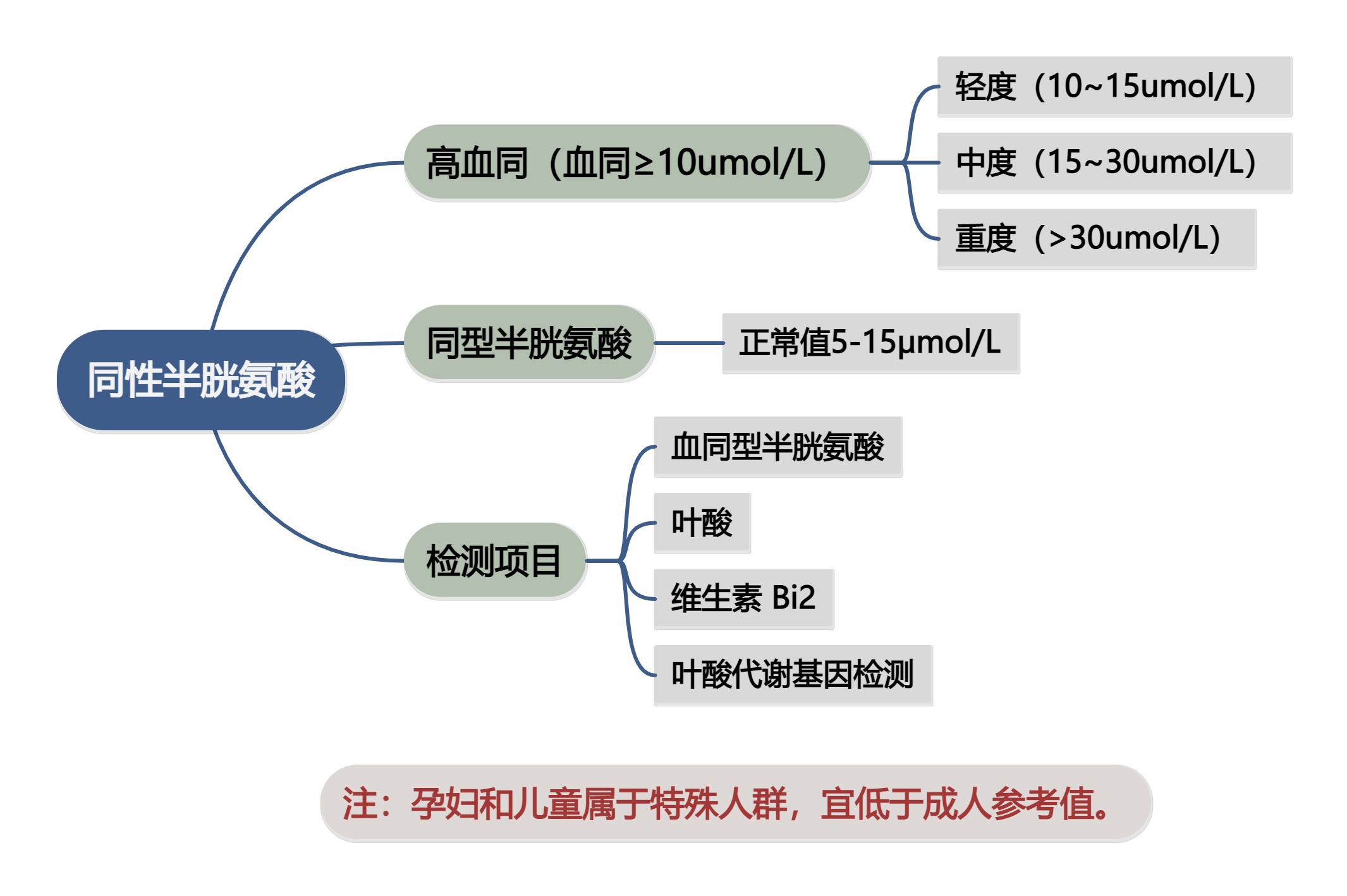 浅海昌蓝.jpg